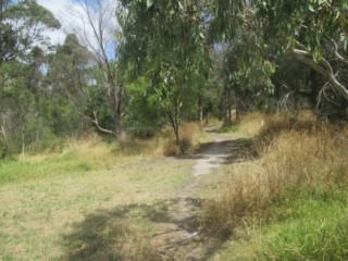 Community Forest Fenced Dog Park (Mount Martha)