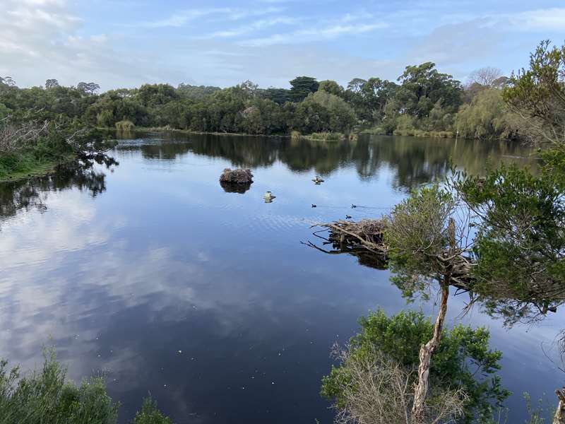 Coolart Wetlands and Homestead (Somers)