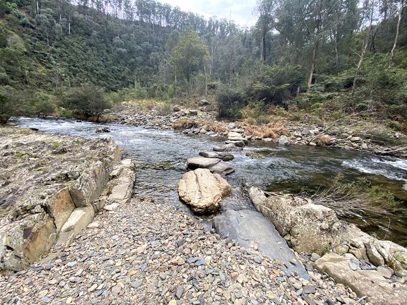 Coopers Creek - Horseshoe Bend Tunnel Walk