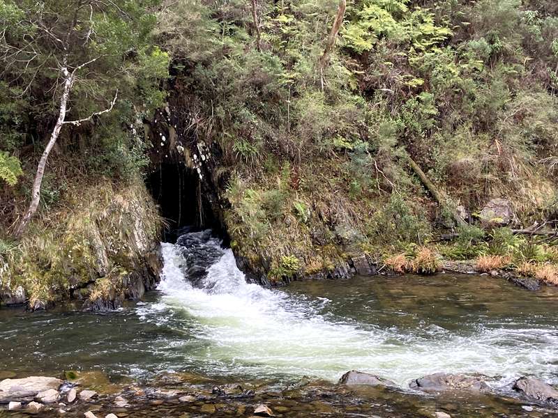 Coopers Creek - Horseshoe Bend Tunnel Walk