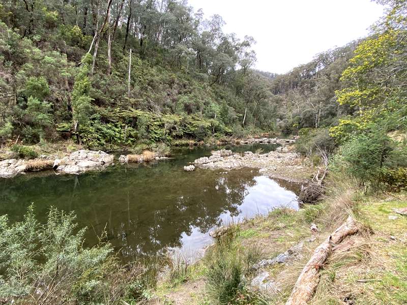 Coopers Creek - Horseshoe Bend Tunnel Walk