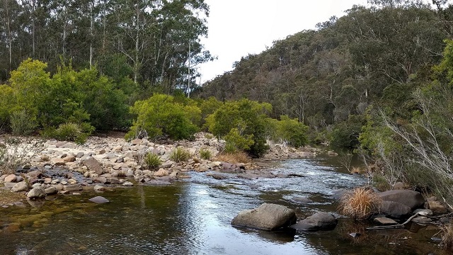 Chandlers Creek - Coopracambra National Park