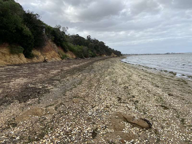 Corinella Beach Dog Off Leash Area (Corinella)