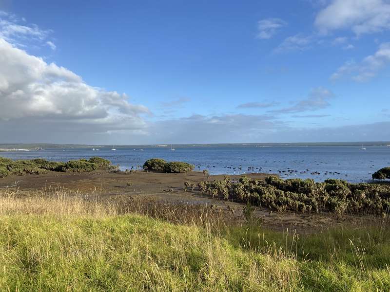 Corinella Foreshore Walks