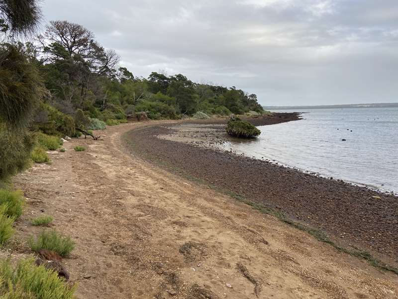 Corinella Foreshore Walks