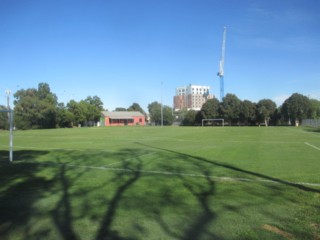 Coulson Reserve Dog Off Leash Area (Clifton Hill)