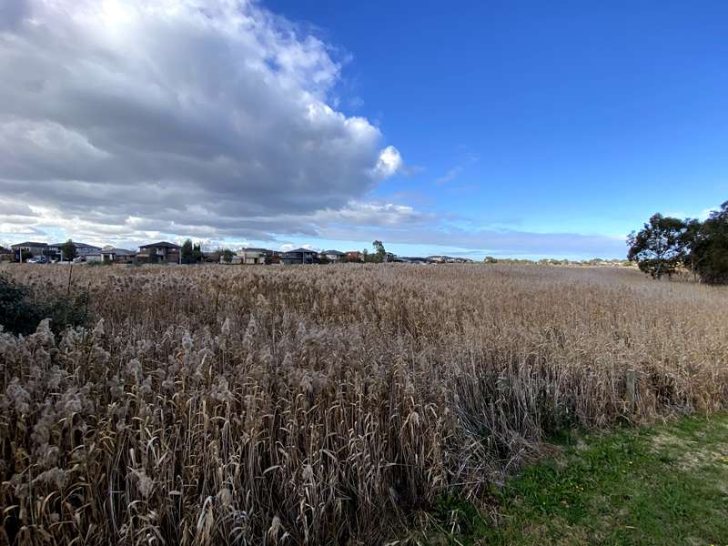 Creeks and Wetlands Walk between Altona Meadows and Williamstown