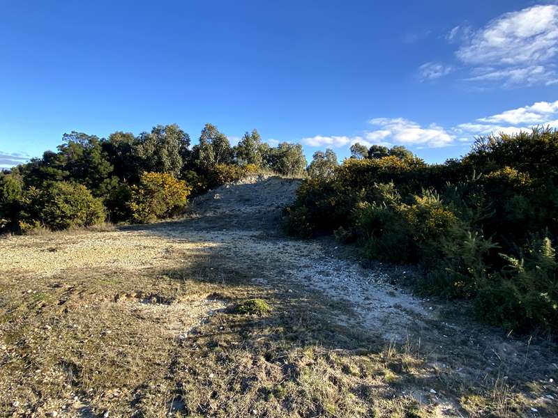 Creswick - Australasian No 1 Gold Mine