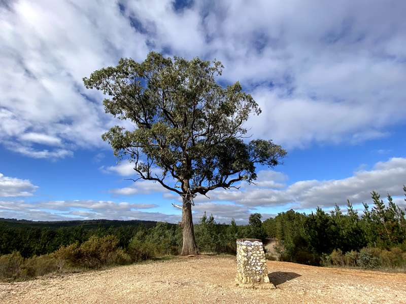 Creswick Heritage Walk