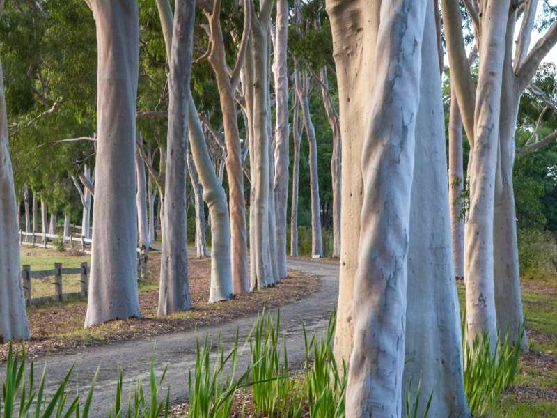 Cruden Farm (Langwarrin)