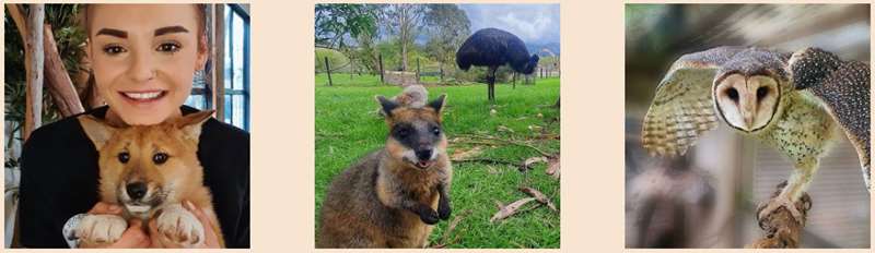 Cudgee - Warrnambool Wildlife Encounters