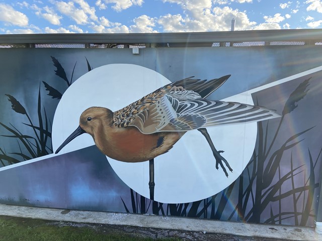 Curlew Community Park Playground, Epsom Street, Laverton