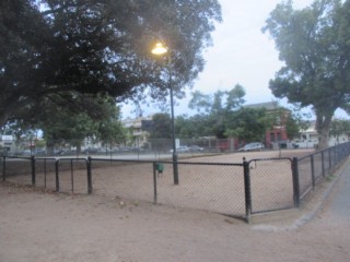 Curtain Square Fenced Dog Park (Carlton North)