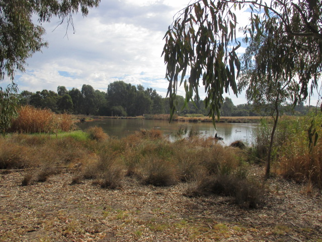 Cussen Park, Tatura