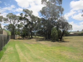 Cypress-Samuel Reserve Fenced Dog Park (Hastings)