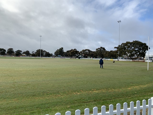 D.S. Aitken Reserve Dog Off Leash Area (Craigieburn)