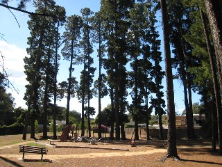 Daffodil Road Playground, Boronia