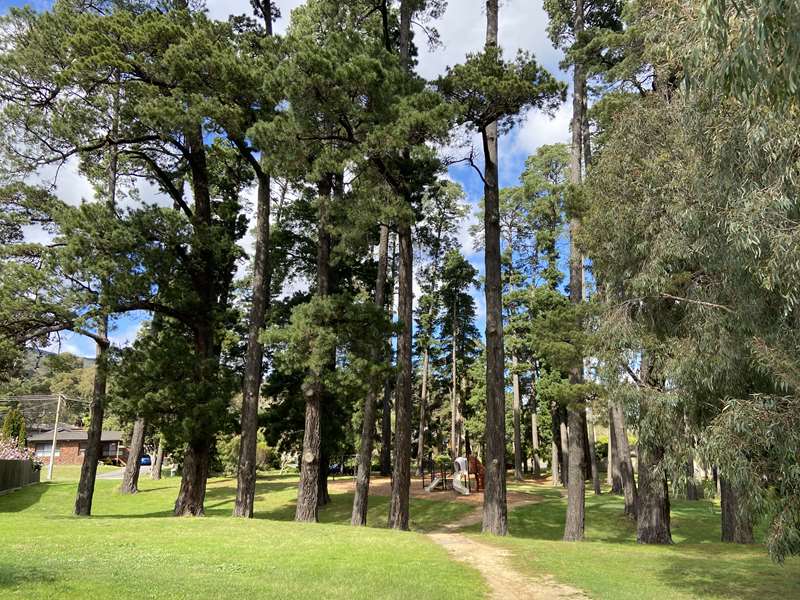 Daffodil Road Dog Off Leash Area (Boronia)