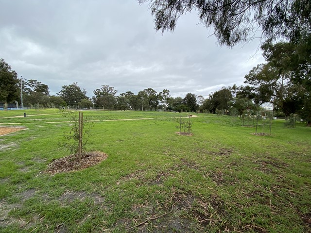 Dales Park Reserve Dog Off Leash Area (Oakleigh South)