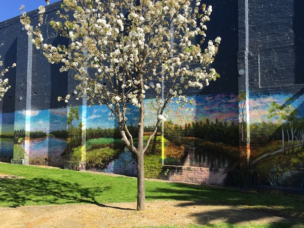 Greater Dandenong Street and Public Art