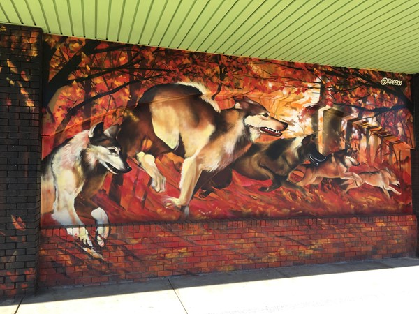 Greater Dandenong Street and Public Art