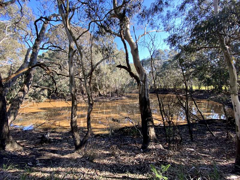 Darebin Creek Walk from Darebin Parklands to the Yarra River (Alphington)