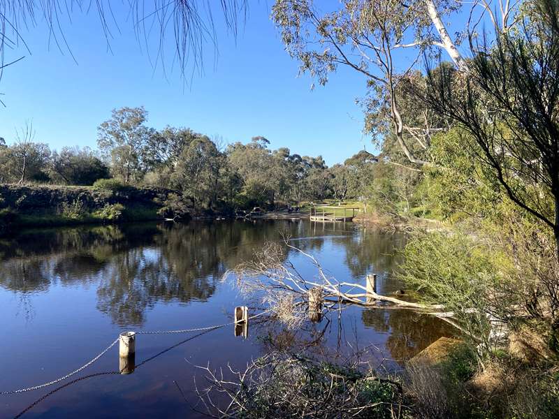 Darebin Creek Walk from Darebin Parklands to the Yarra River (Alphington)