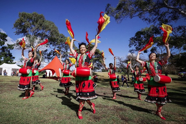 Darebin Kite Festival