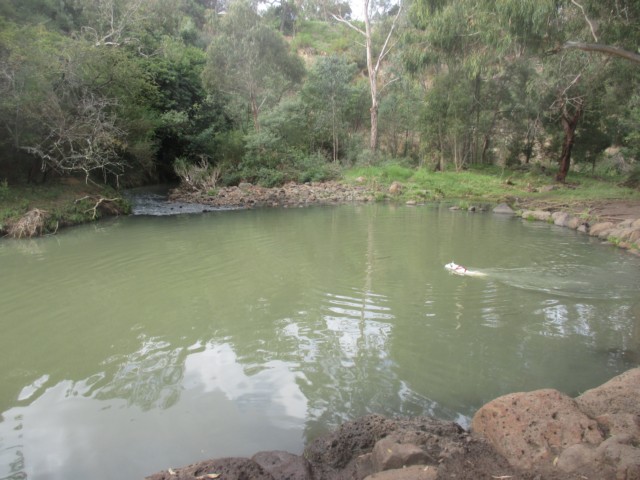 Darebin Parklands