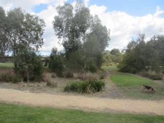 David Cooper Park Dog Off Leash Area (Wantirna South)