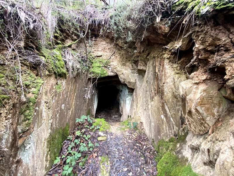 Daylesford - Tipperary Springs to Bryces Flat Walk