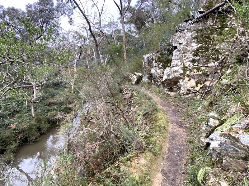Daylesford -  Tipperary Springs to Bryces Flat Walk
