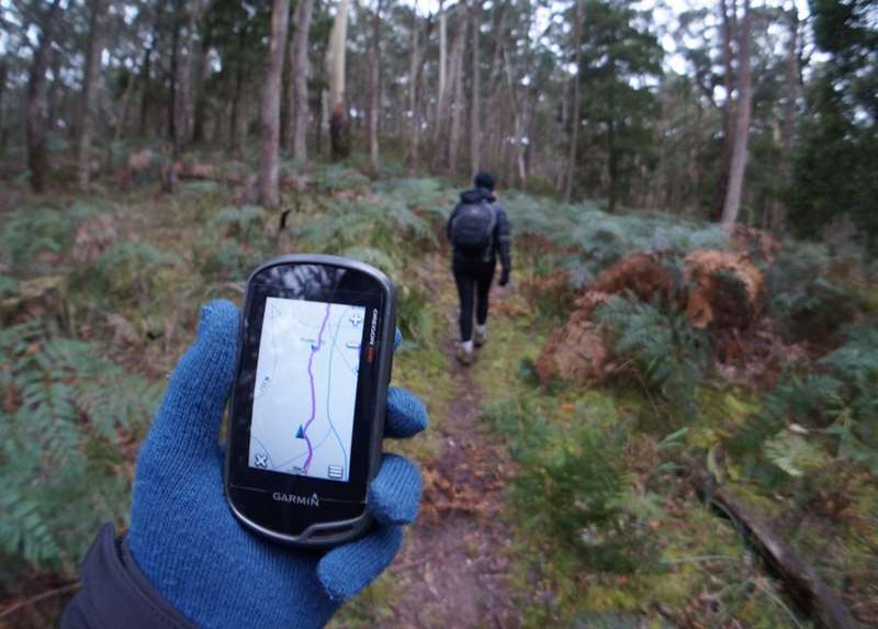 Daylesford - Secret Forest Walks