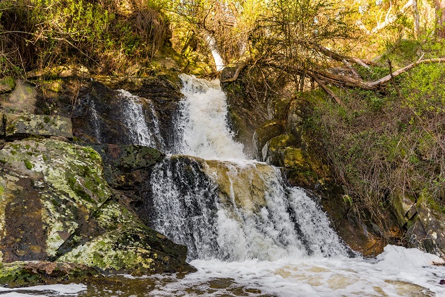 Daylesford - Wombat Falls