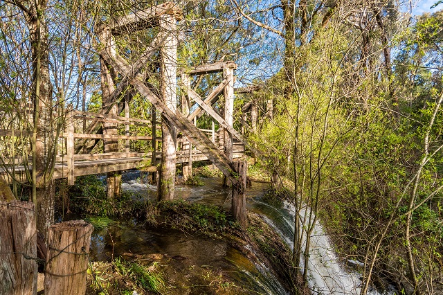 Daylesford - Wombat Falls