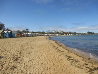 Dendy Street Beach Dog Off Leash Area (Brighton)