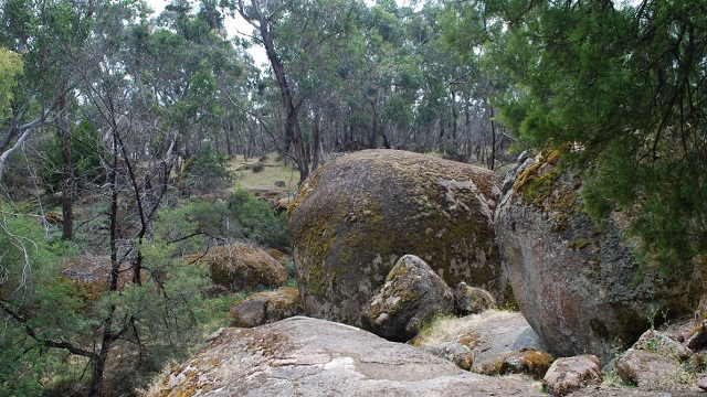 Dergholm State Park