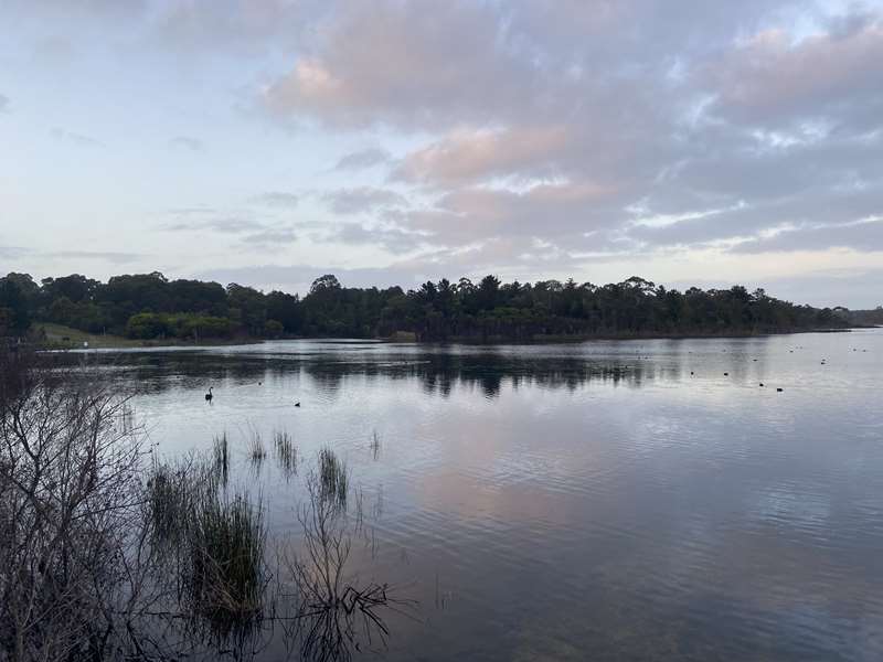 Devilbend Natural Features Reserve (Moorooduc)