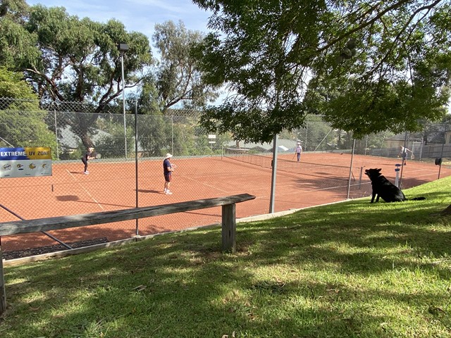 Diamond Valley Baptist Tennis Club (Plenty)