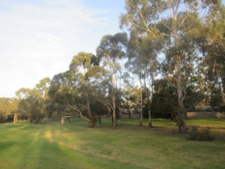 Dick Mason Reserve Dog Off Leash Area (Glen Waverley)