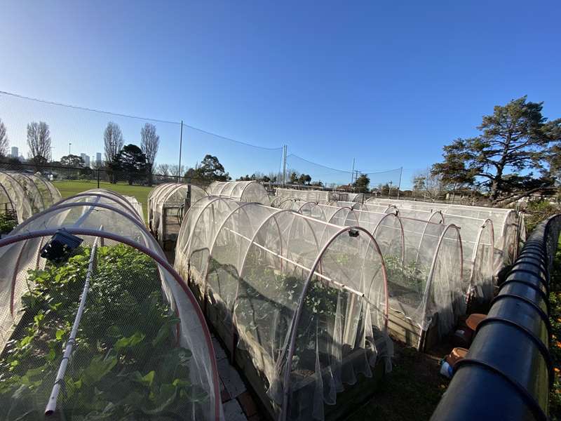 Dig In Community Garden (Port Melbourne)