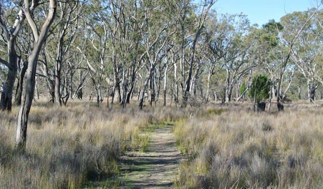 Dimboola - Little Desert National Park