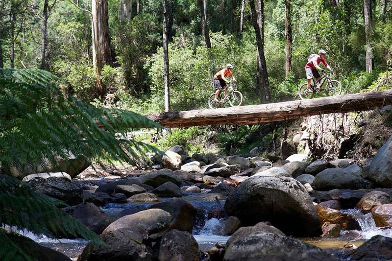 Dirty Dozen Iconic High Country Mountain Bike Trails