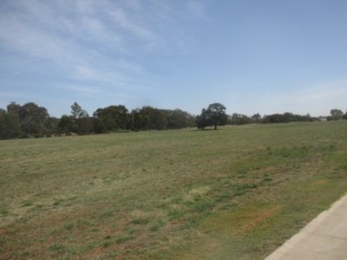 Diversion Weir Dog Off Leash Area (Werribee)