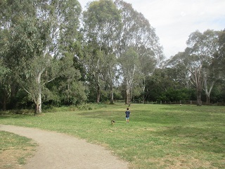 Dog Off Leash areas for each Council area in Melbourne and Victoria