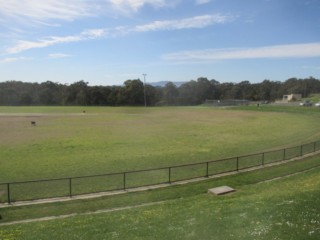 Domeney Reserve Dog Off Leash Area (Park Orchards)