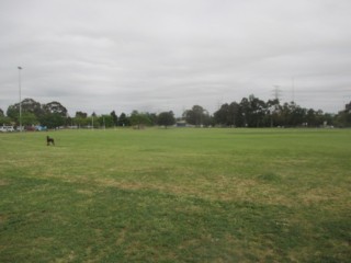 Donald McLean Reserve Dog Off Leash Park (Spotswood)