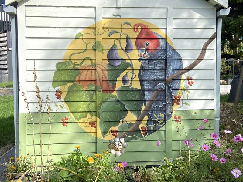 Doncaster Hill Community Garden (Doncaster)