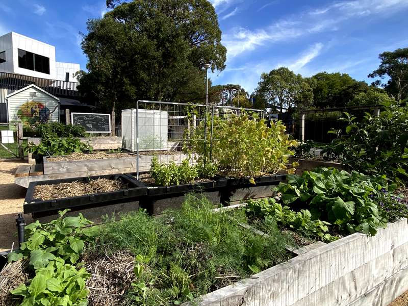 Doncaster Hill Community Garden (Doncaster)