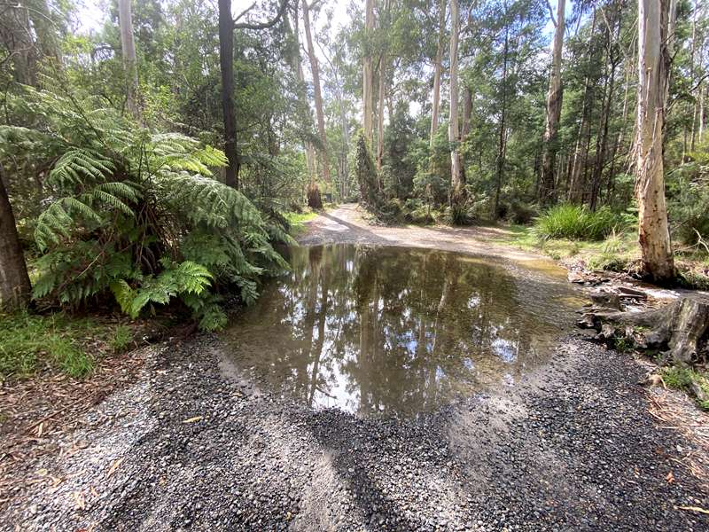Donnellys Weir Picnic Area (Healesville)